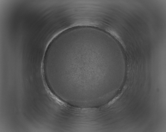X0000070170928200605301321