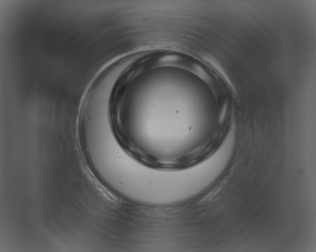 X0000070170932200605301321