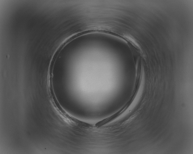 X0000070170940200605301322