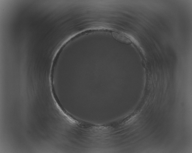 X0000070170943200605301322
