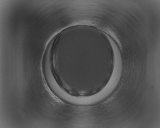 X0000070170944200605301322