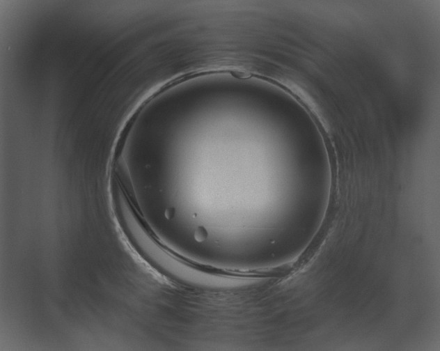 X0000070170949200605301322