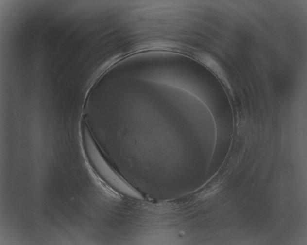 X0000070170954200605301322