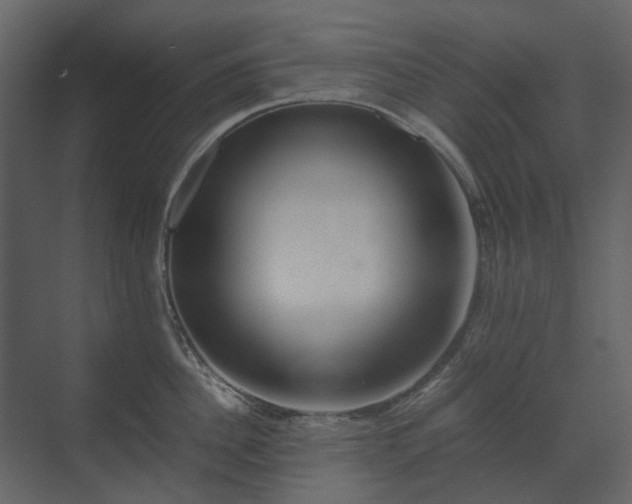 X0000070170956200605301322