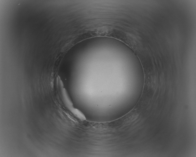 X0000070170962200605301321