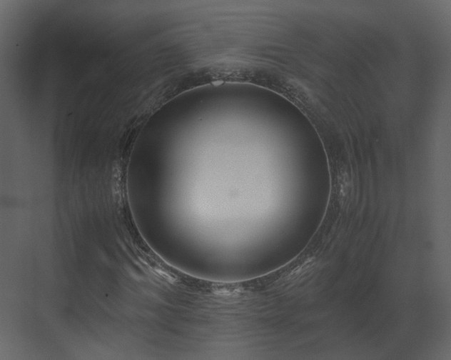 X0000070170964200605301321