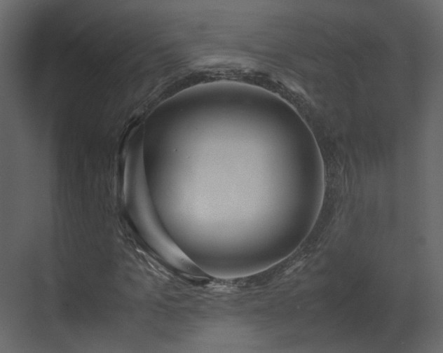 X0000070170965200605301321