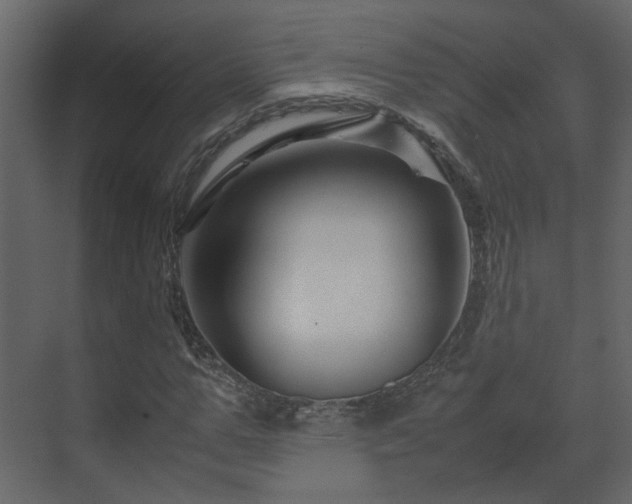 X0000070170967200605301321