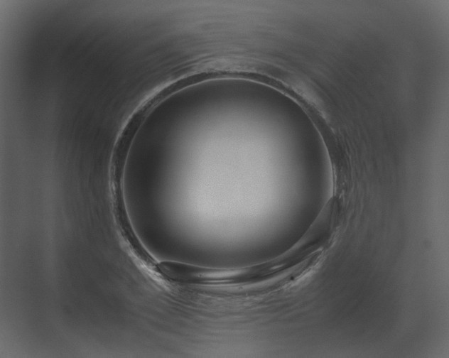 X0000070170981200605301321