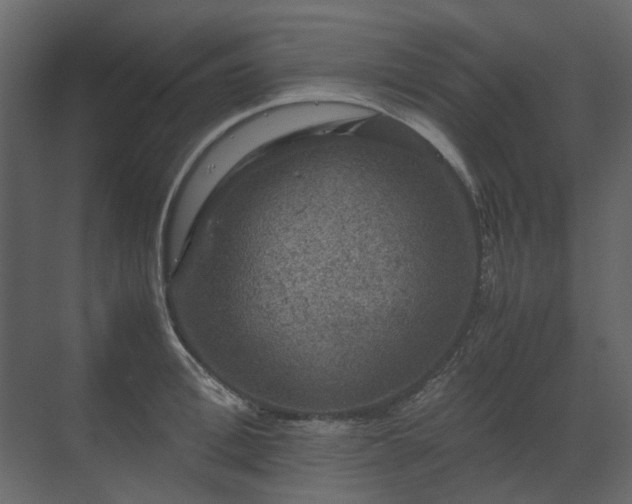 X0000070170996200605301321