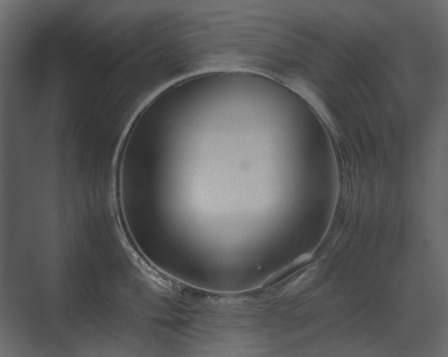 X0000070171004200605301320