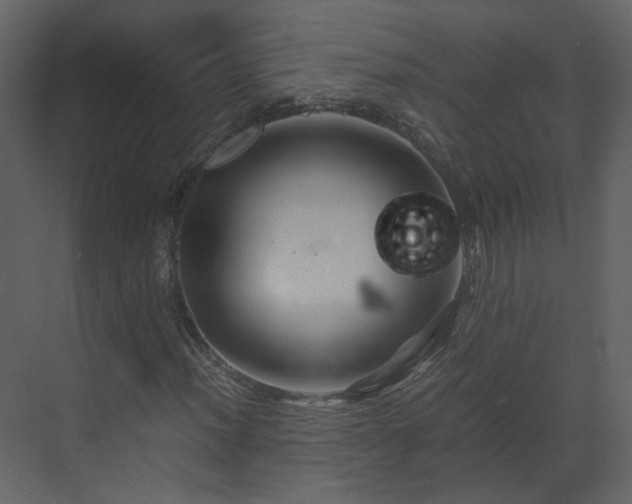 X0000070171012200605301320