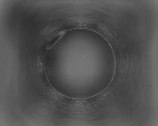X0000070171013200605301320