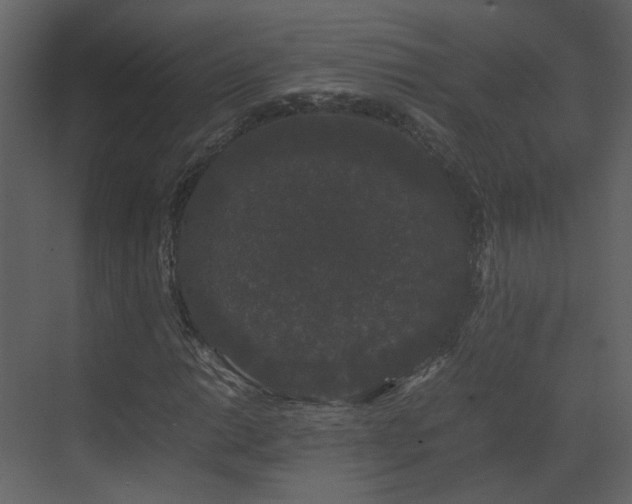 X0000070171014200605301320
