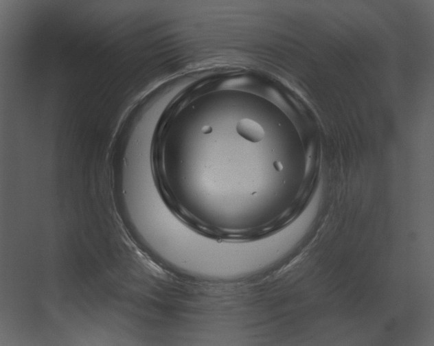 X0000070171018200605301320