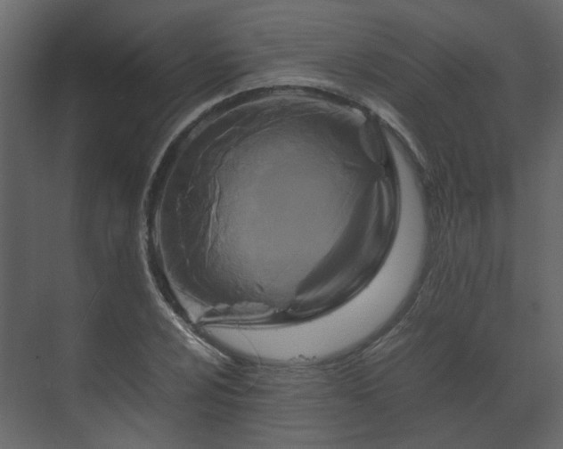 X0000070171024200605301320