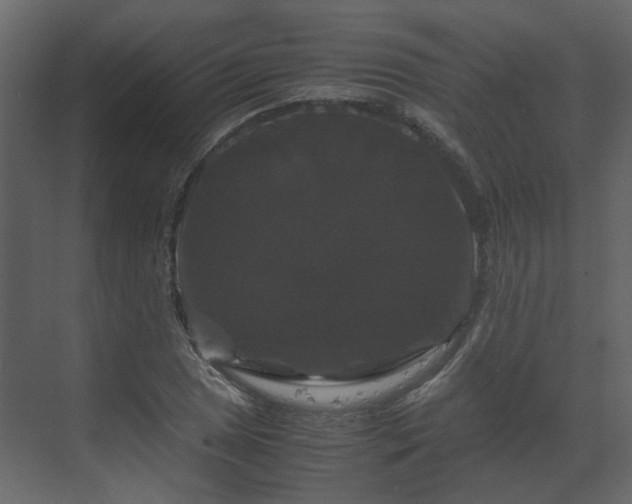 X0000070171025200605301320