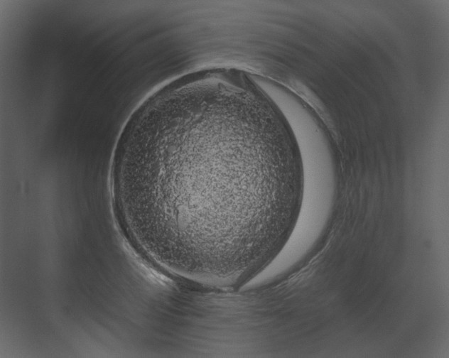 X0000070171028200605301320