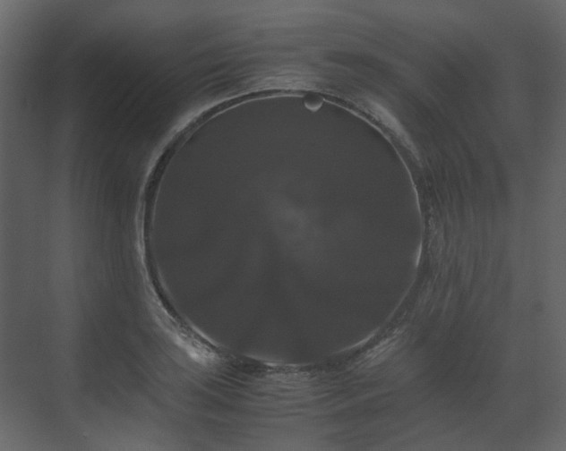 X0000070171035200605301320