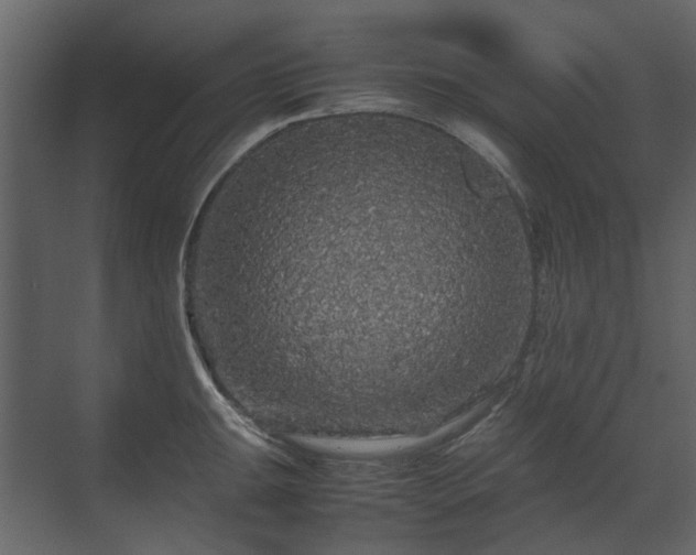 X0000070171047200605301320