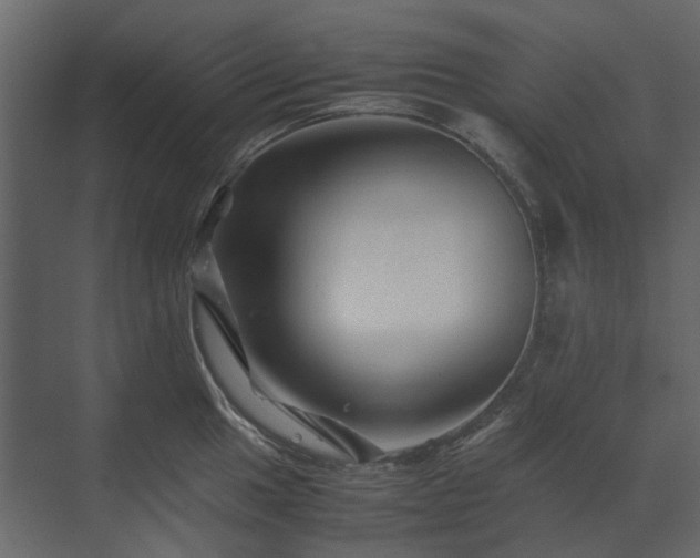 X0000070171049200605301320