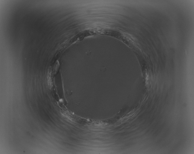 X0000070171060200605301319