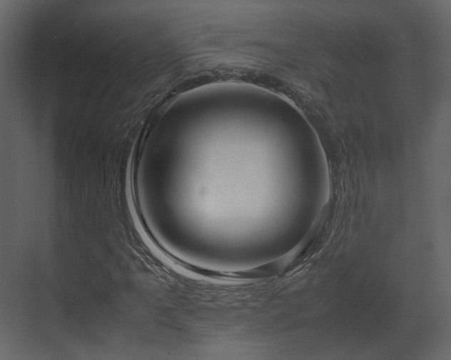 X0000070171061200605301319
