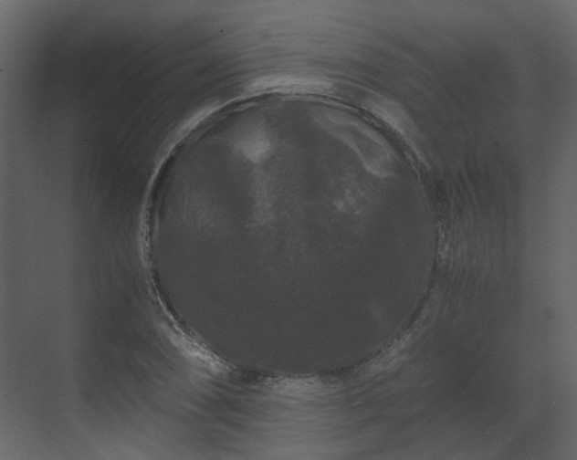 X0000070171074200605301319