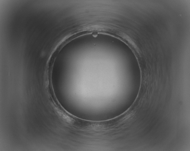 X0000070171075200605301319