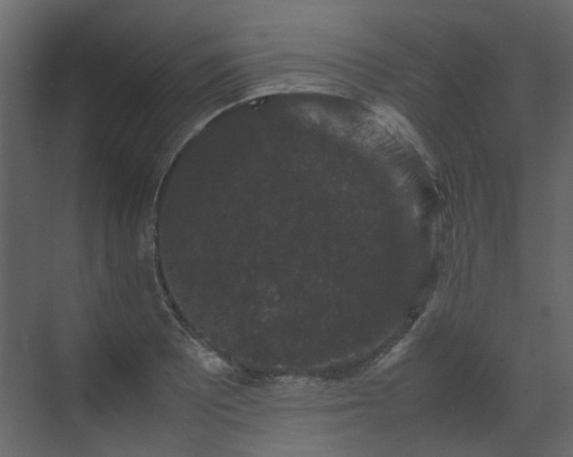 X0000070171081200605301319
