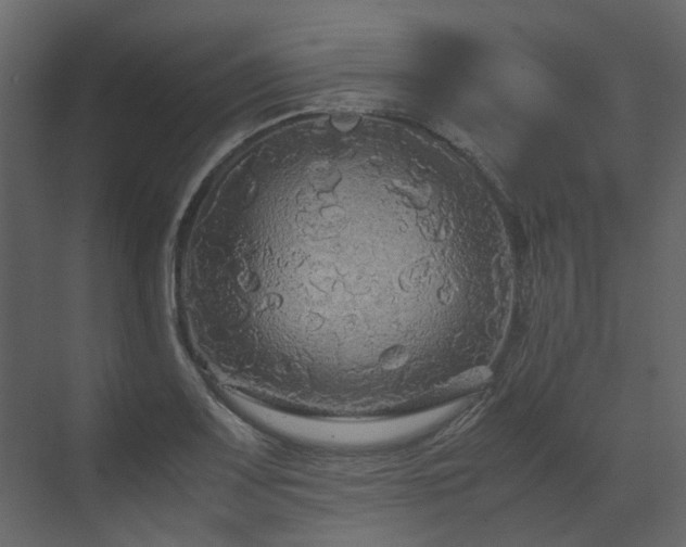 X0000070171083200605301319