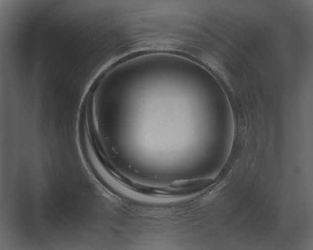 X0000070171085200605301319