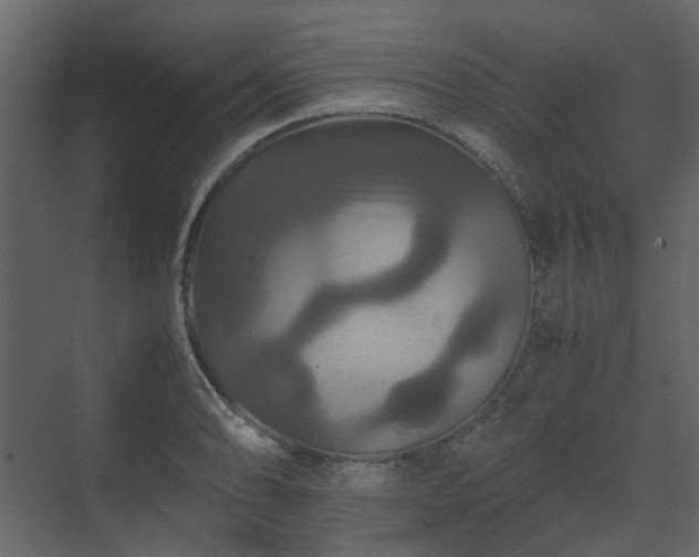 X0000070171086200605301319