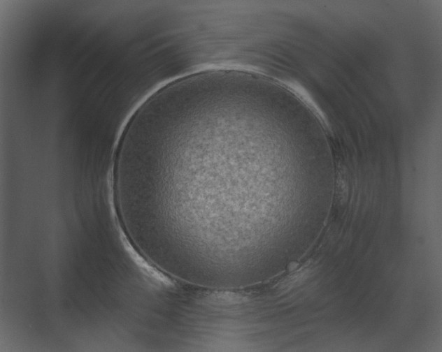 X0000070171100200605301319