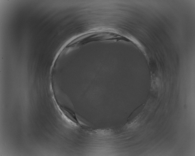 X0000070171102200605301319