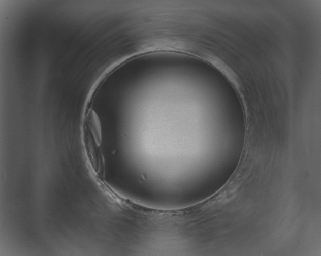 X0000070171104200605301319