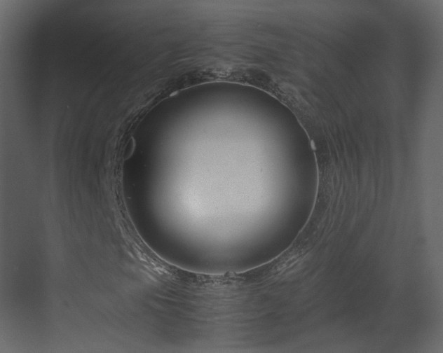 X0000070171105200605301318