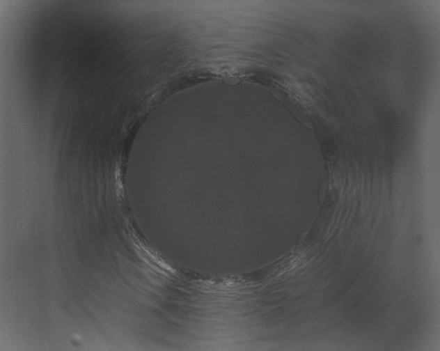 X0000070171106200605301318