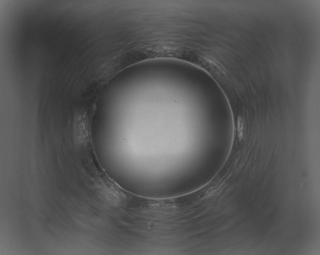 X0000070171107200605301318