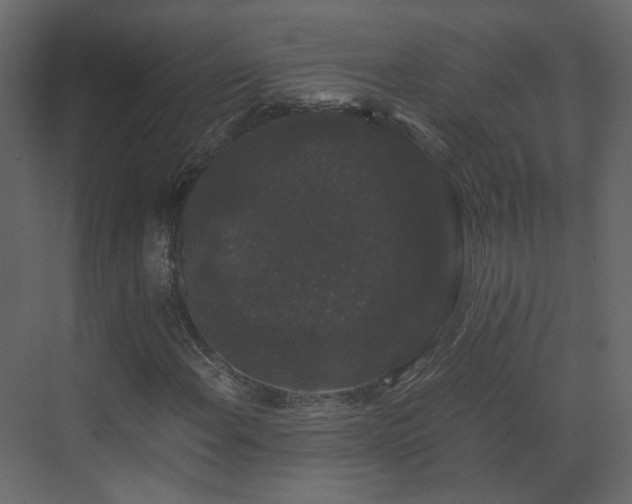 X0000070171108200605301318