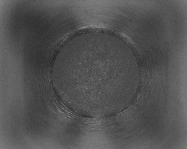 X0000070171110200605301318