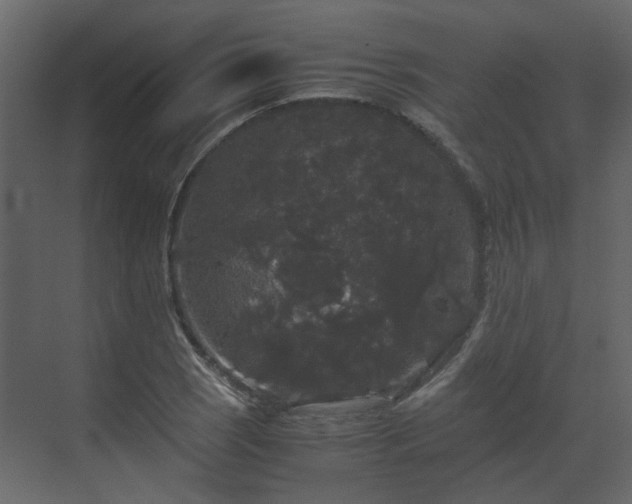 X0000070171121200605301318