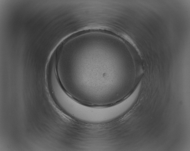 X0000070171124200605301318