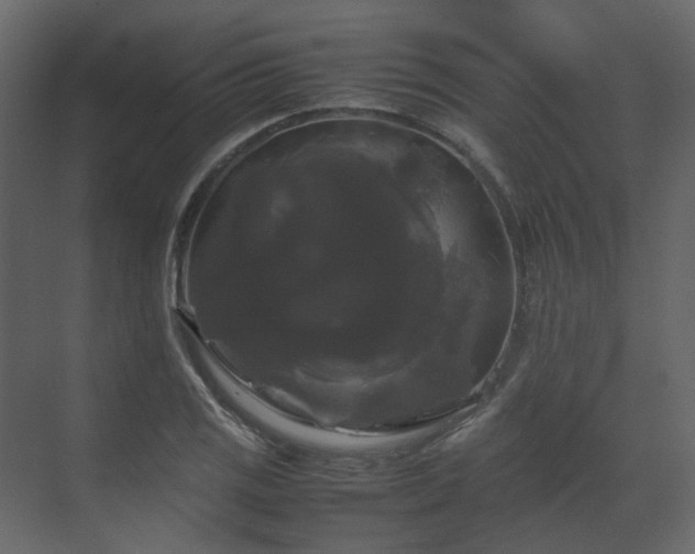 X0000070171125200605301318