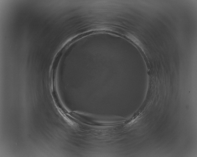 X0000070171127200605301318