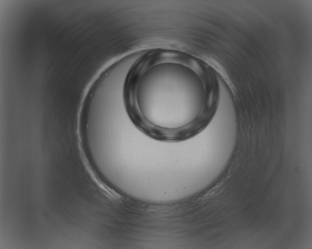 X0000070171128200605301318