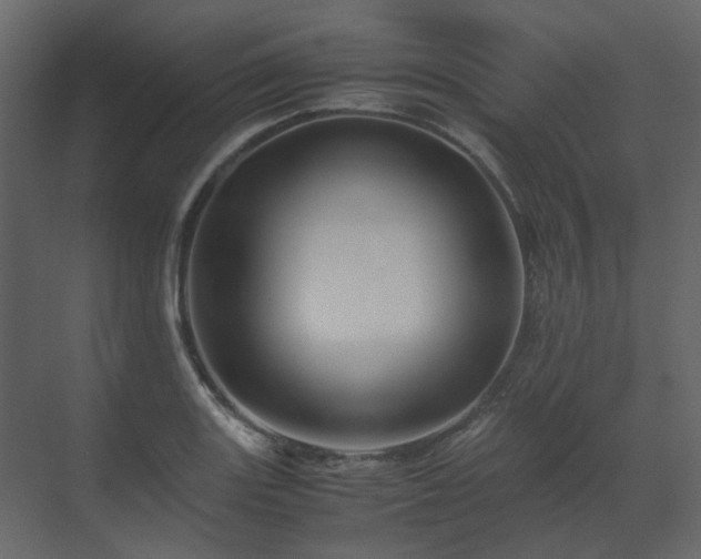 X0000070171131200605301318