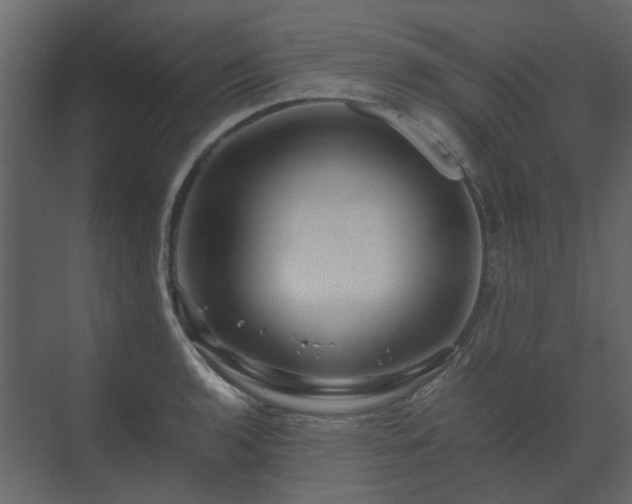 X0000070171136200605301318