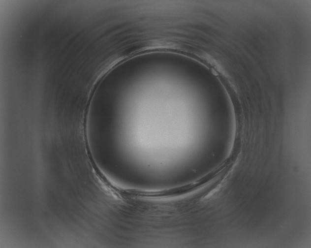 X0000070171137200605301318