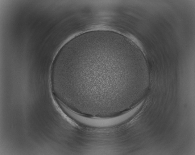 X0000070171142200605301319